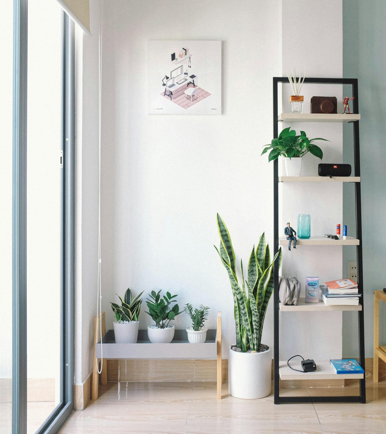 Modern metal rack with plants and books near a large window in a bright, minimalistic room.